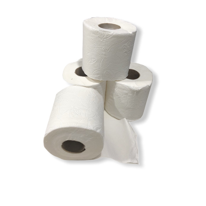 Ayande 2Ply Toilet Paper (9’s/18’s/24’s/48’s)